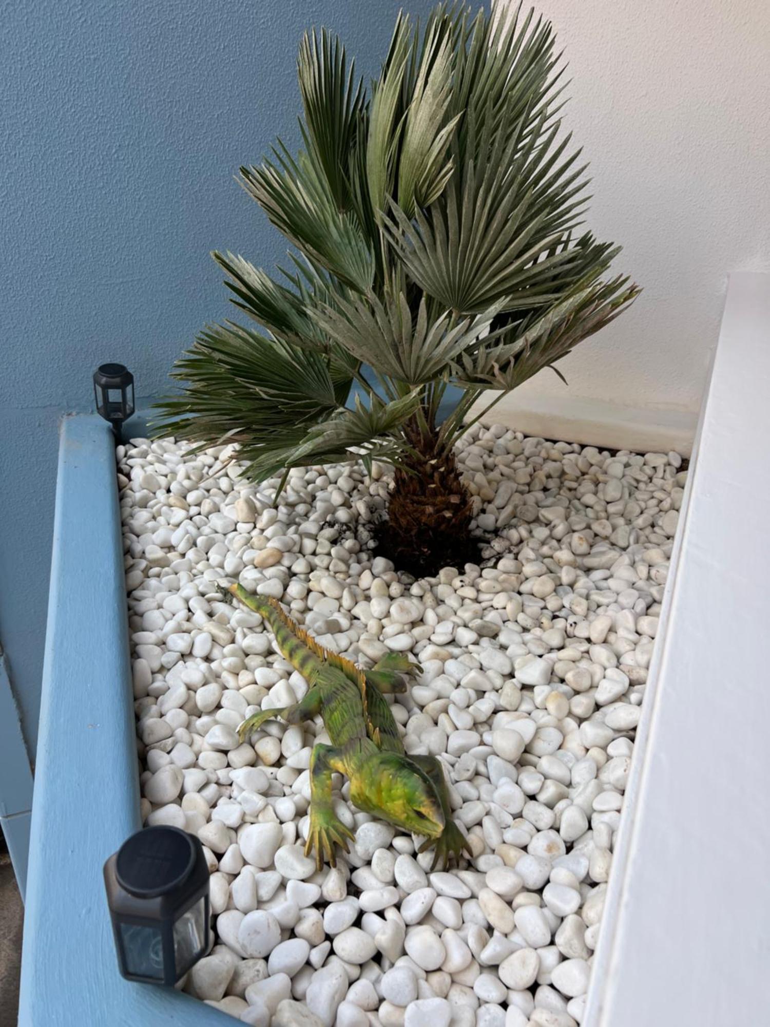 Air Conditioning, Private Parking And Fully Equipped Kitchen In Hotel Room In Golf Del Sur, Tenerife San Miguel de Abona Extérieur photo